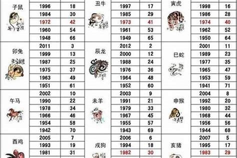 2028 生肖|2028年属什么生肖 2028年属什么生肖是什么命